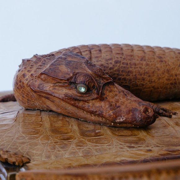 Wild Eye! 1950's Vintage Croc Purse - Picture 4 of 5